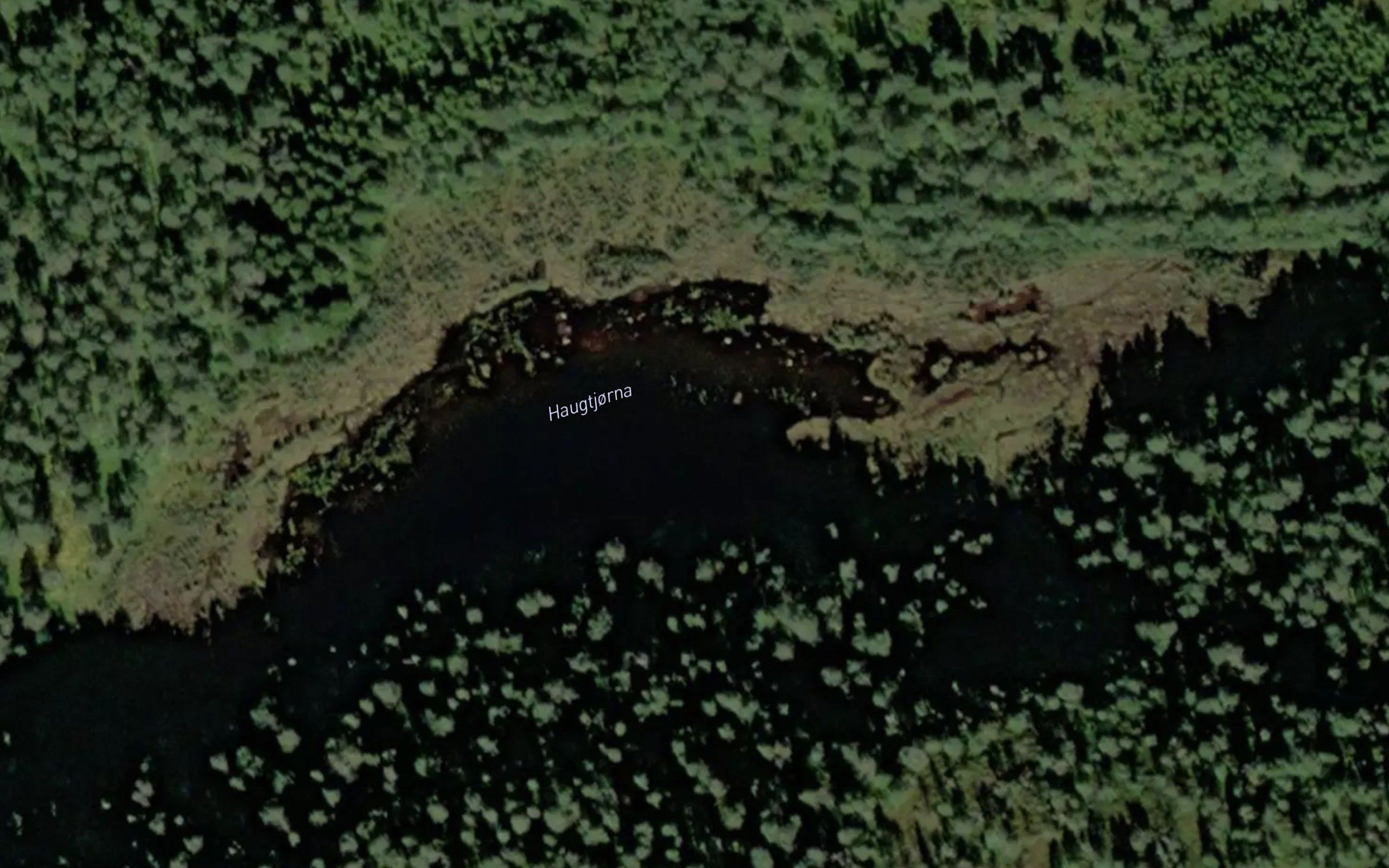 Haugtjonna