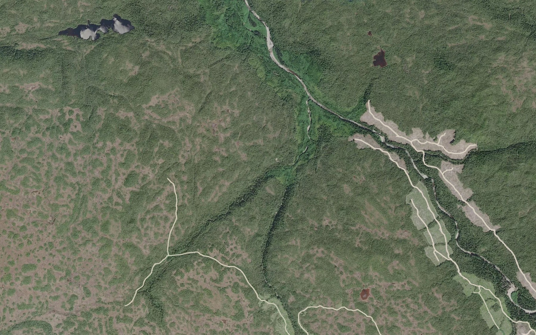 Satellite map of the Bragg Creek