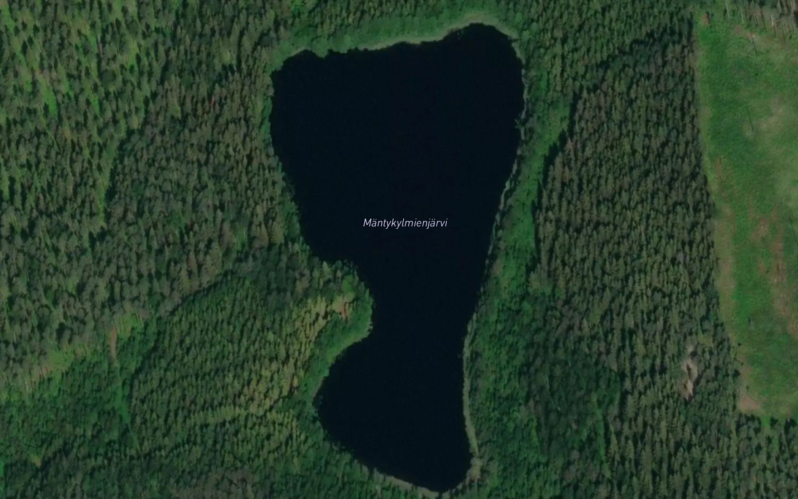 Mantykylmienjarvi