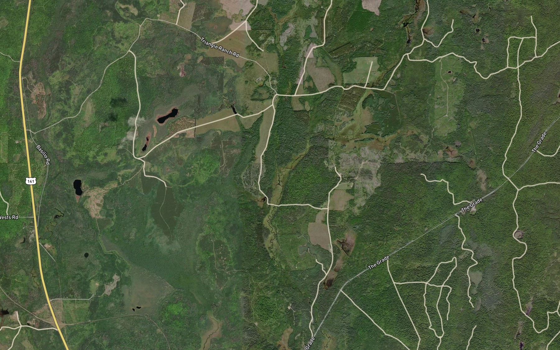 Satellite map of the West Branch Hemlock River