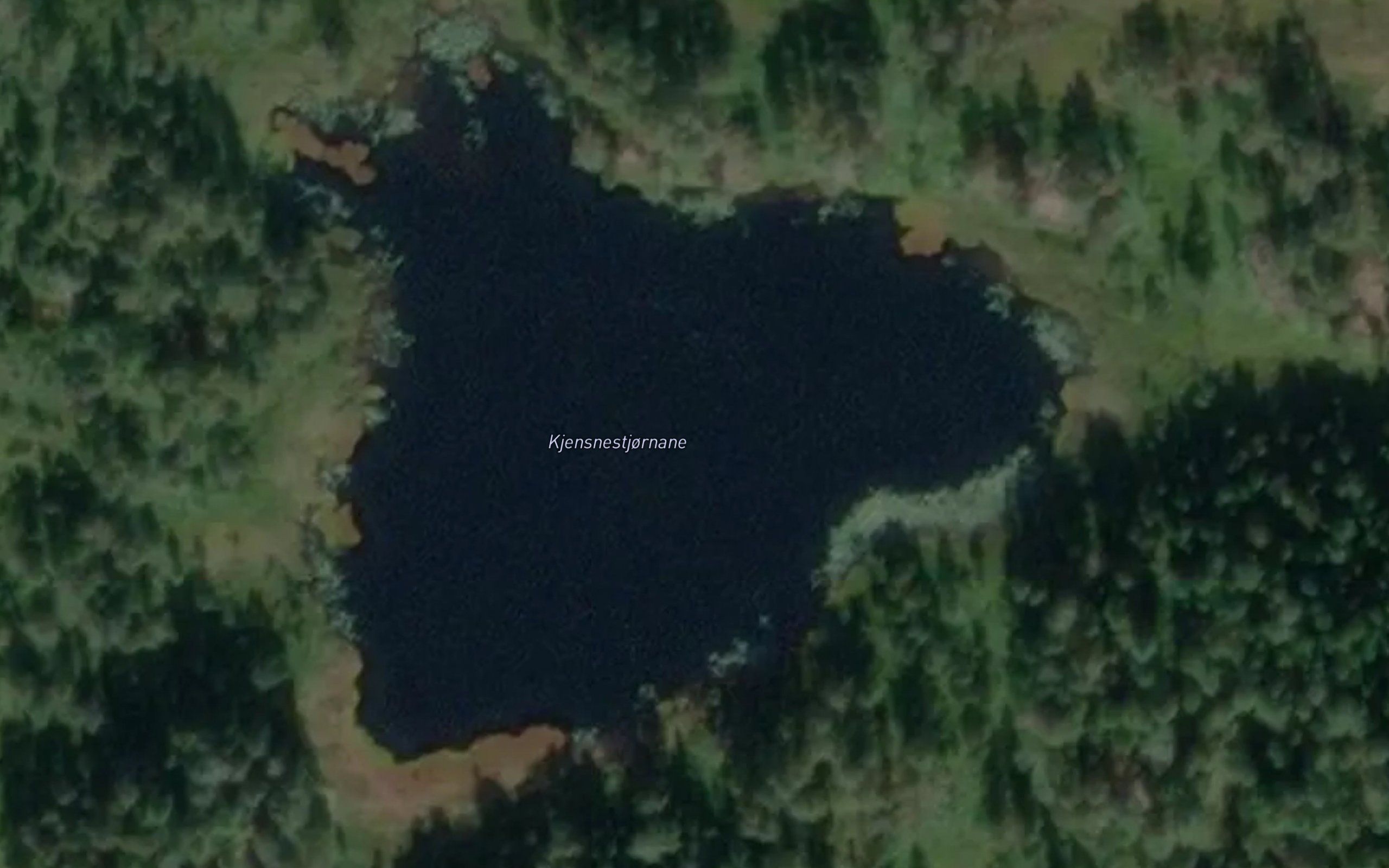 Kjensnestjornane