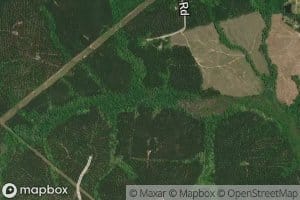 Burns Branch