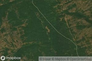 Saddle Basin Creek