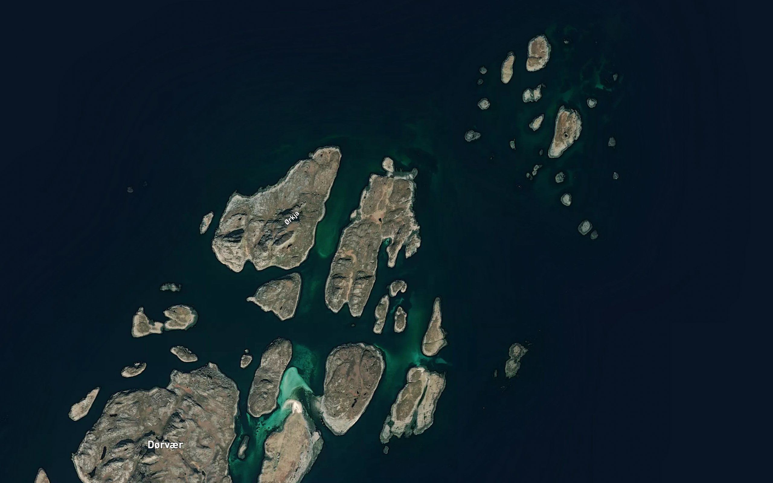 Austervika