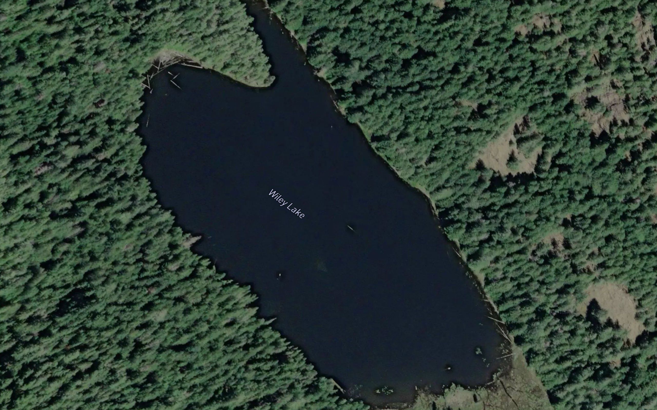 Wiley Lake