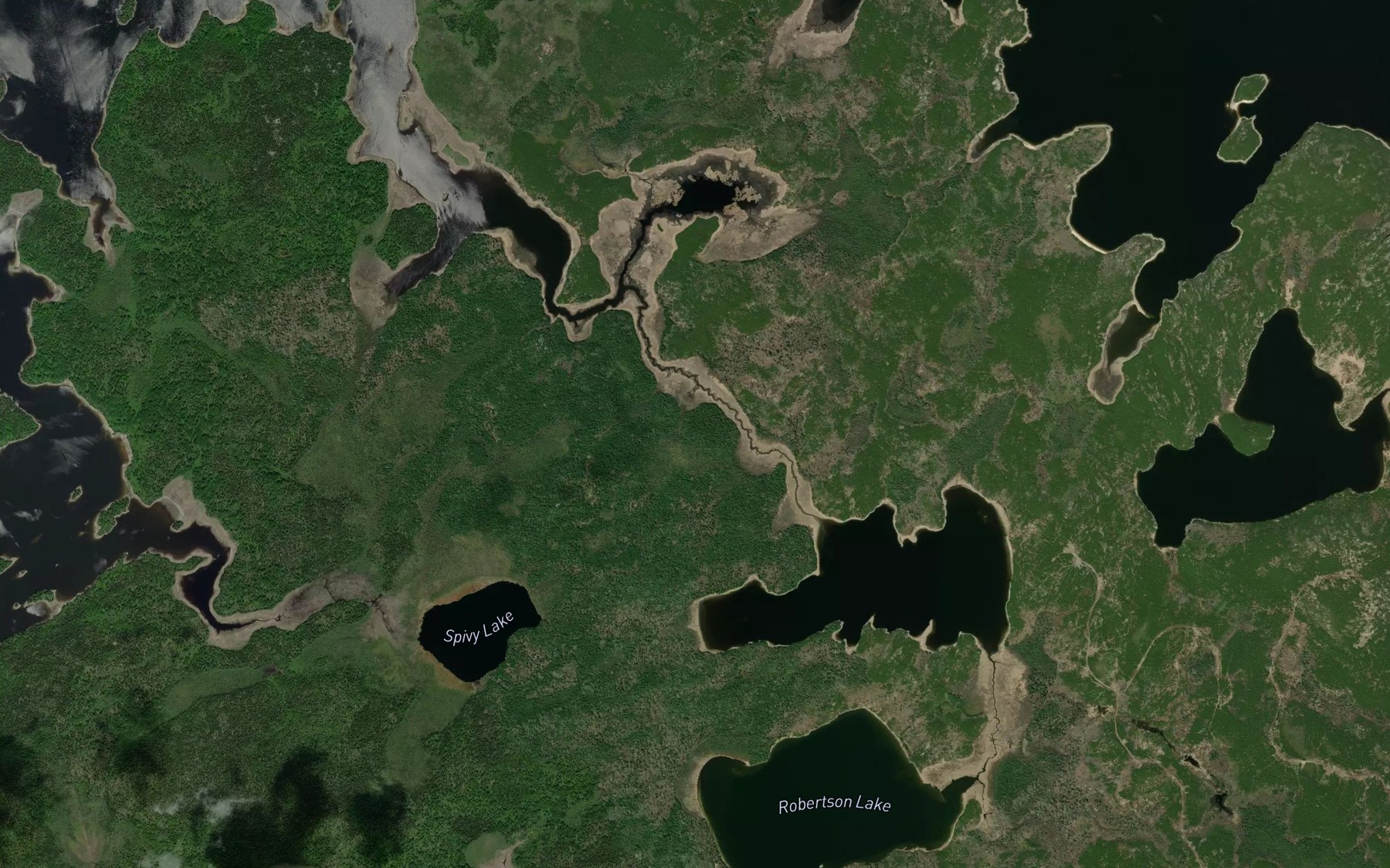 Satellite map of the Robertson Creek