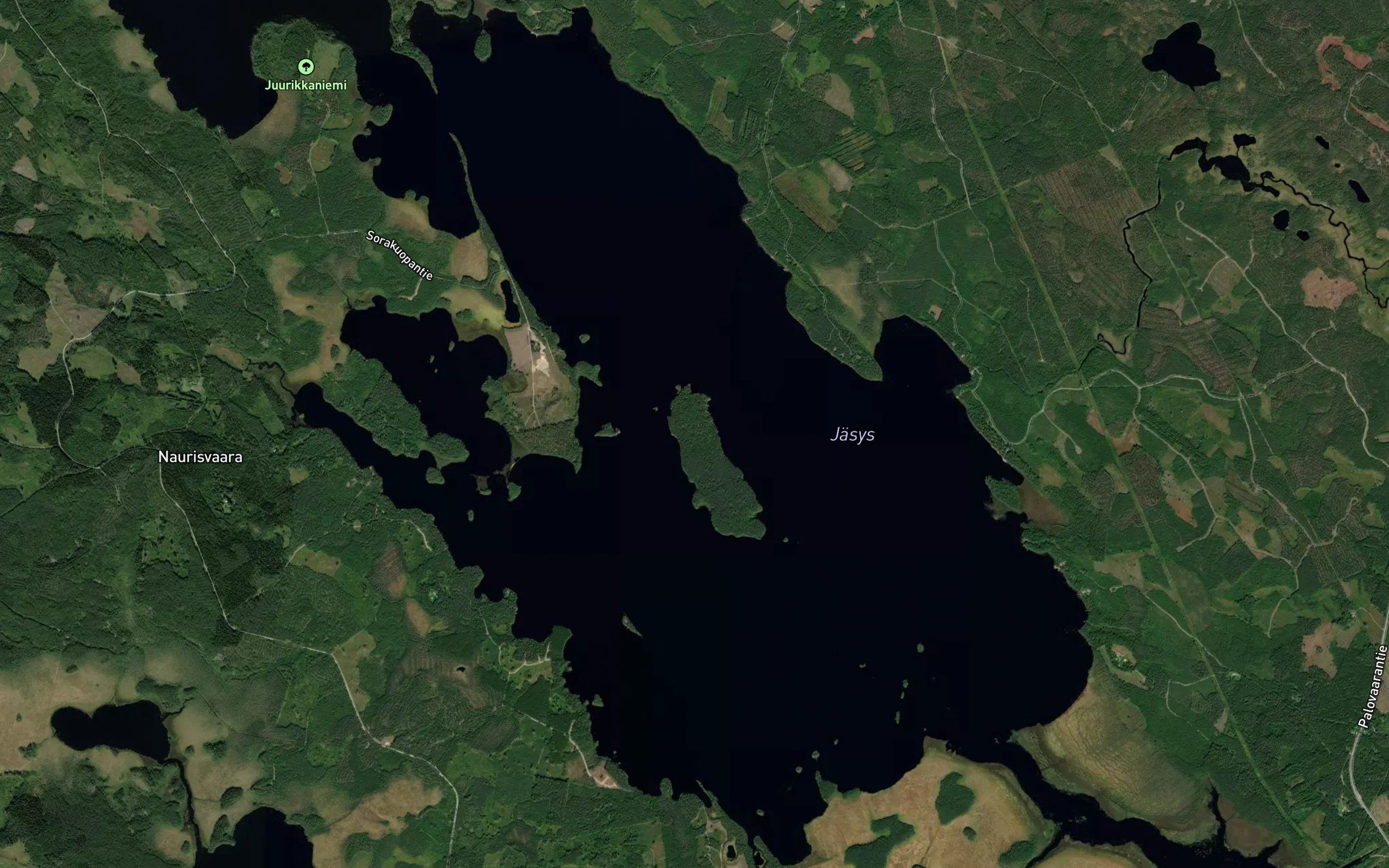 Pitkalahti