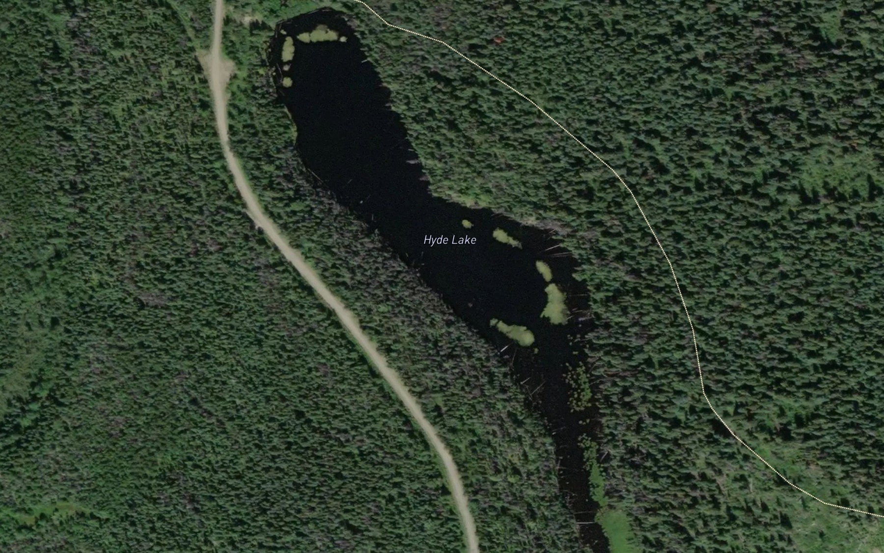 Satellite map of the Hyde Lake