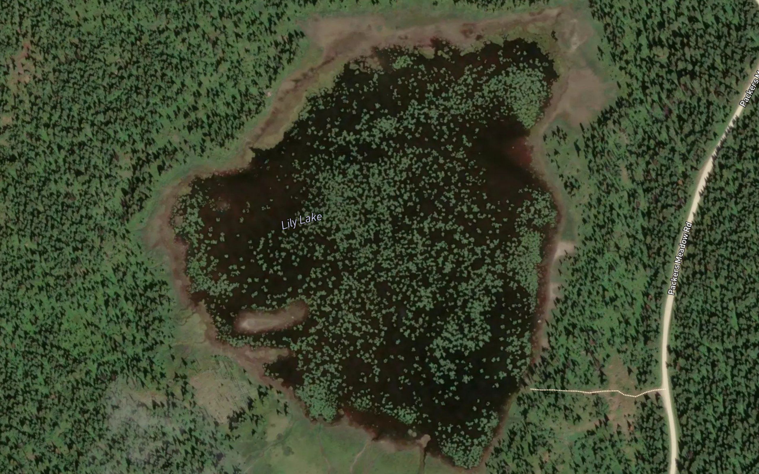 Lily Lake