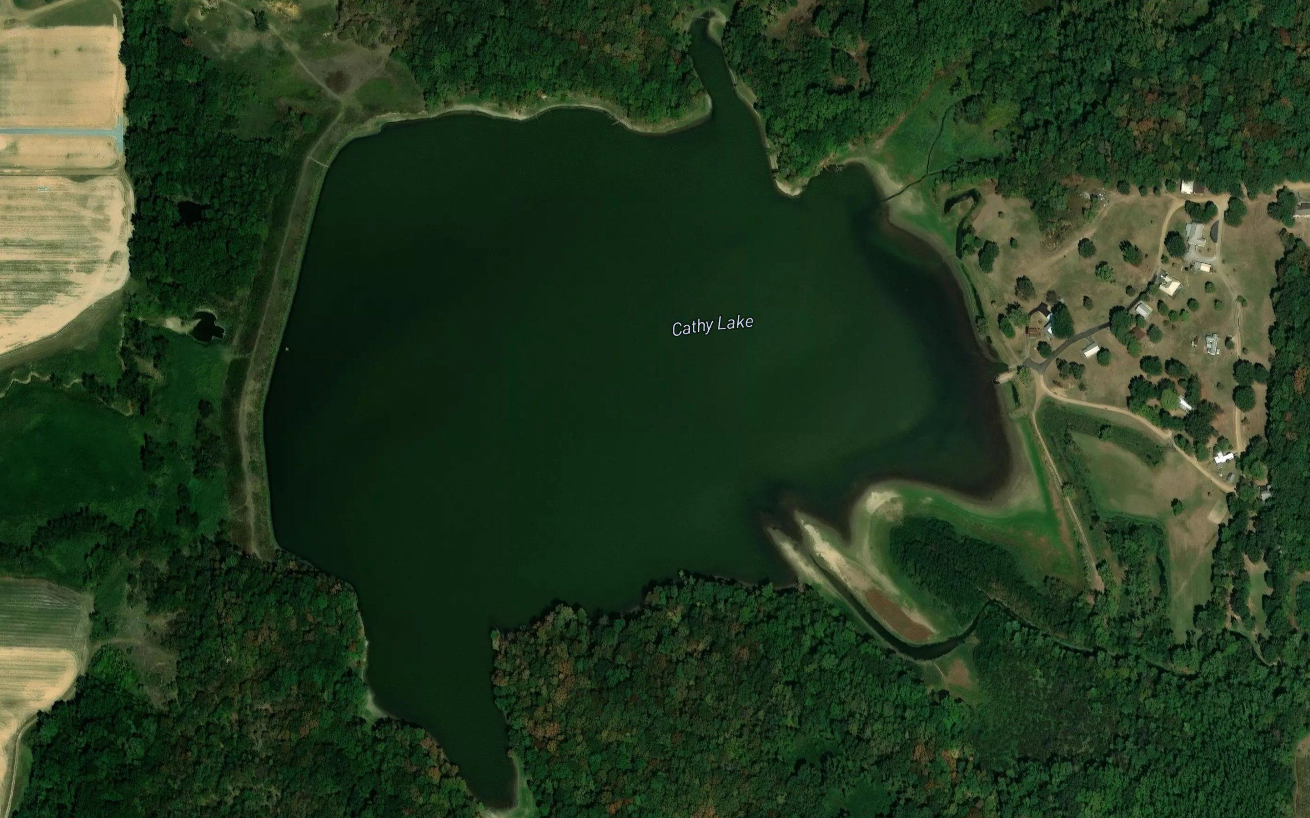 Cathy Lake