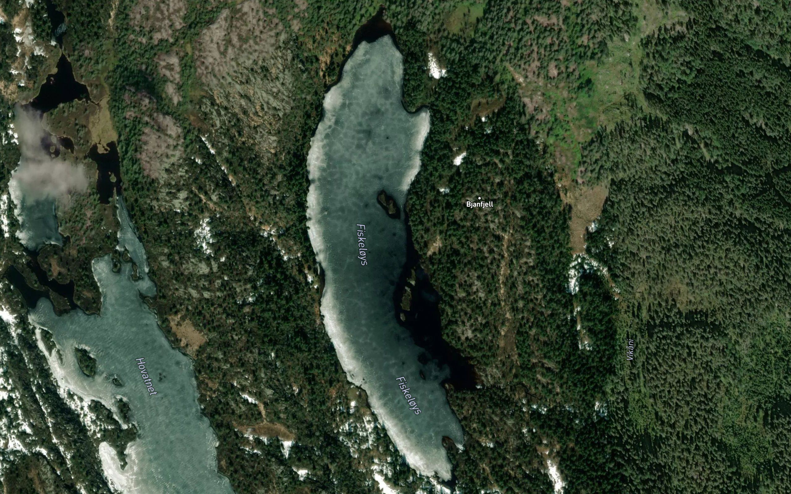 Fiskeloys