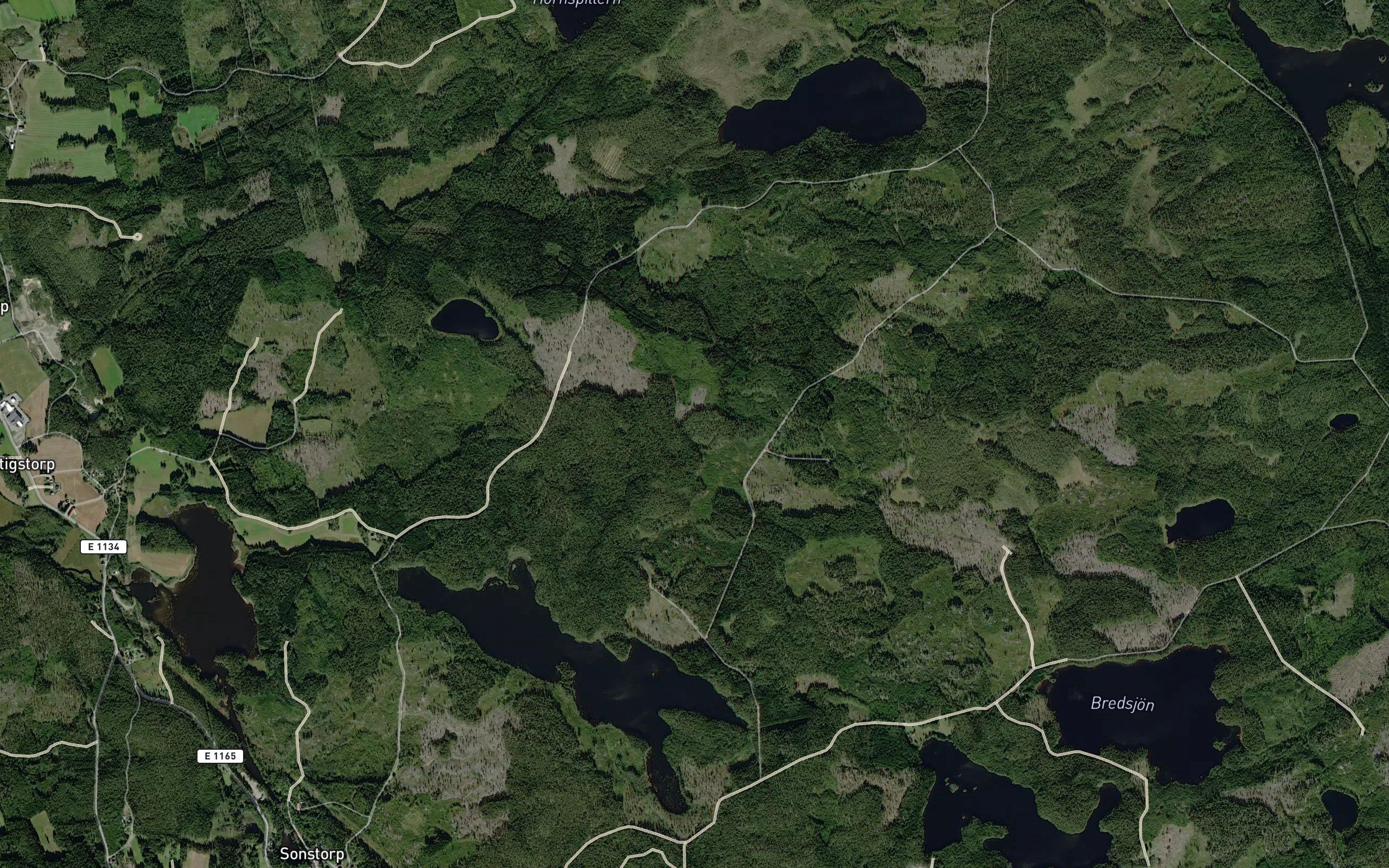 Stora Bornspillaren