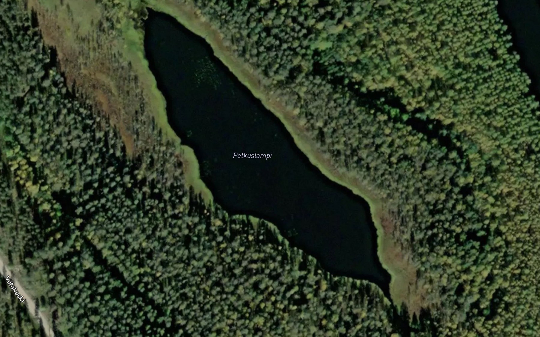 Satellite map of the Petkuslampi