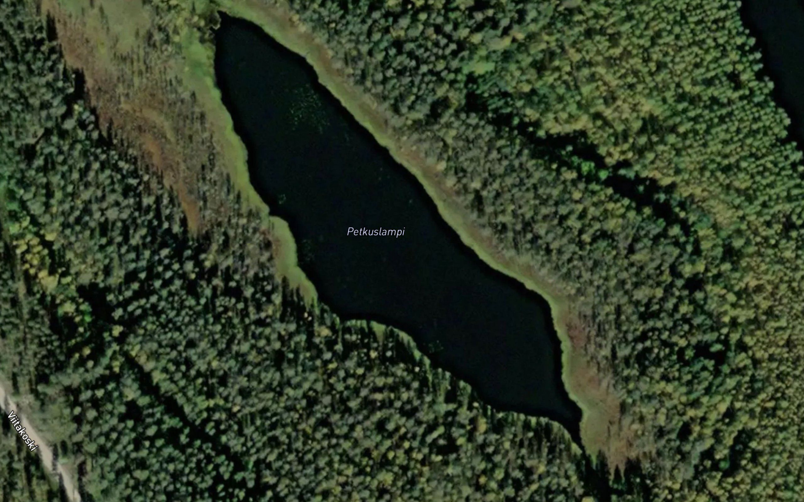 Petkuslampi