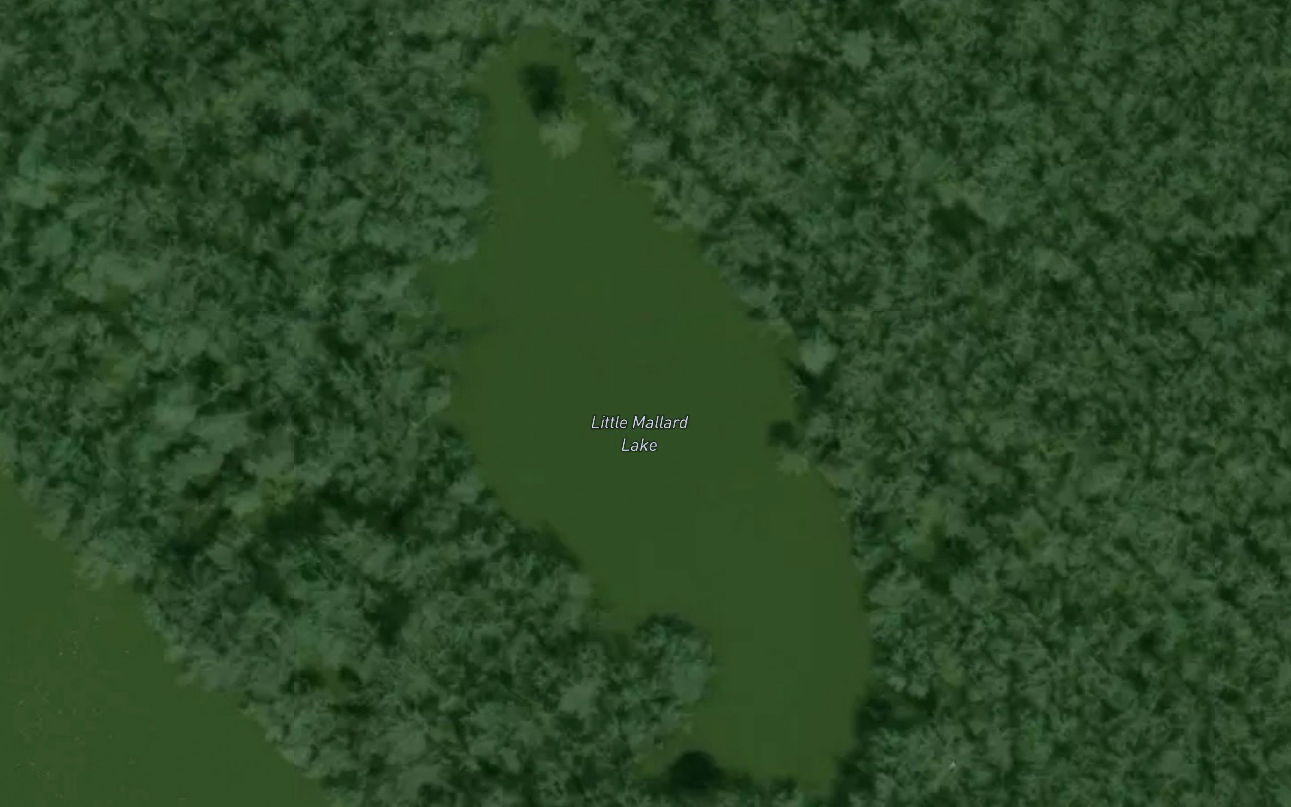 Little Mallard Lake