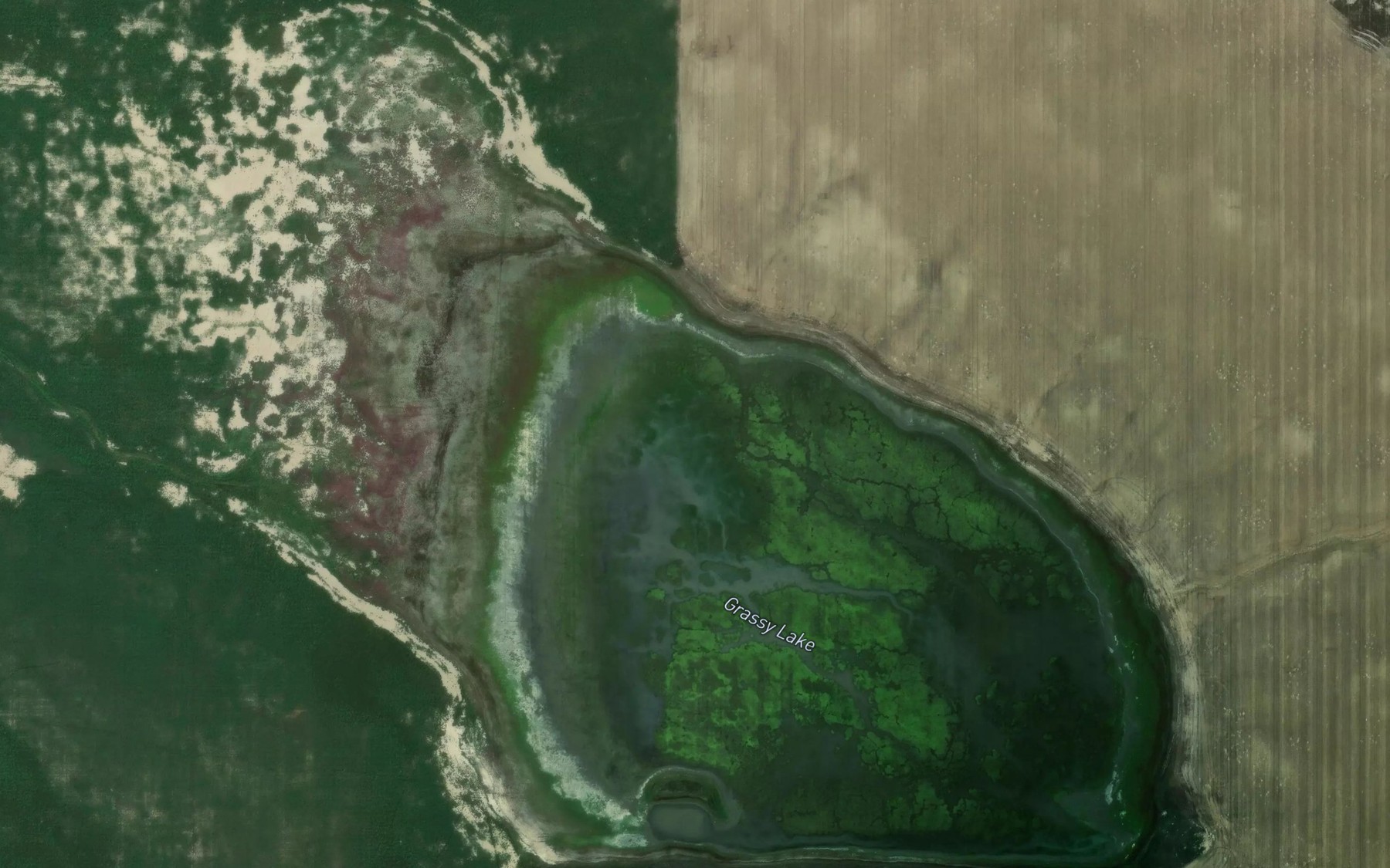 Satellite map of the Grassy Lake