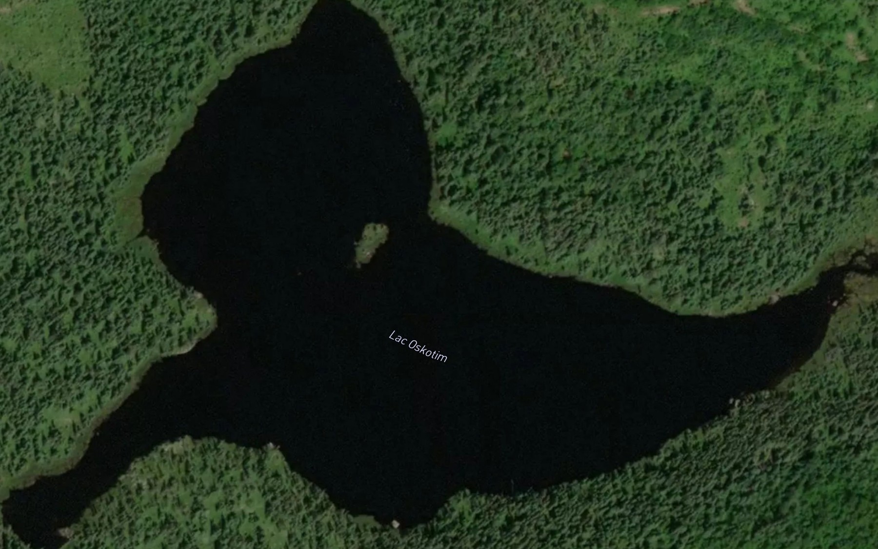 Satellite map of the Lac Oskotim