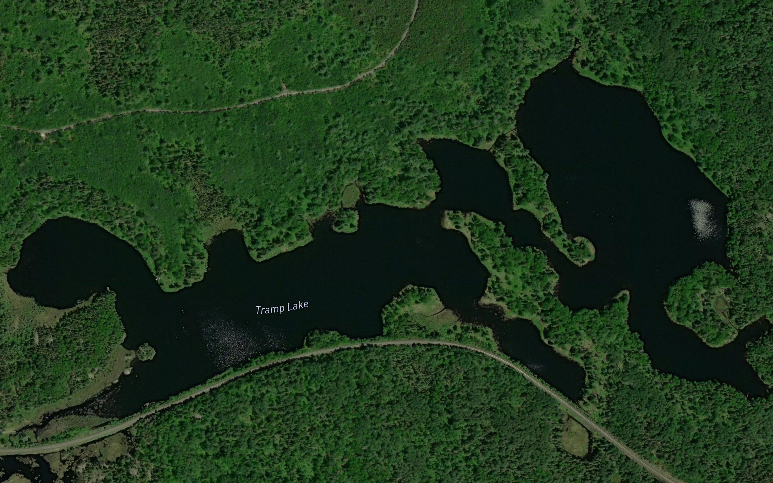 Tramp Lake