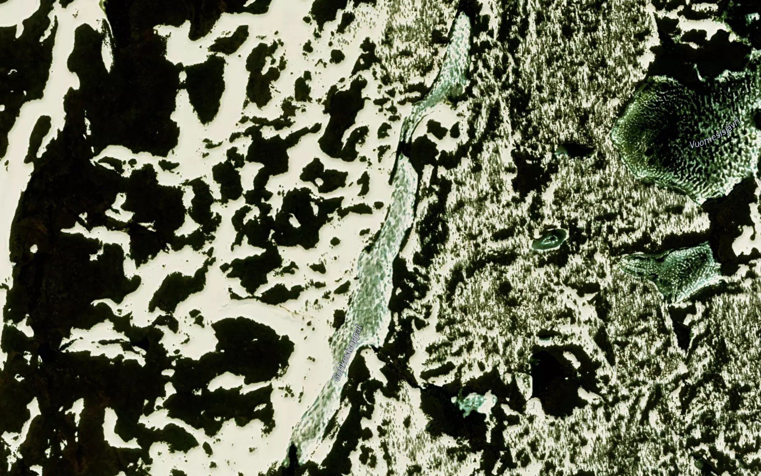 Gukkesluobbal