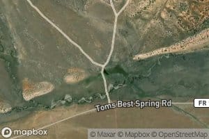 Tom Best Spring