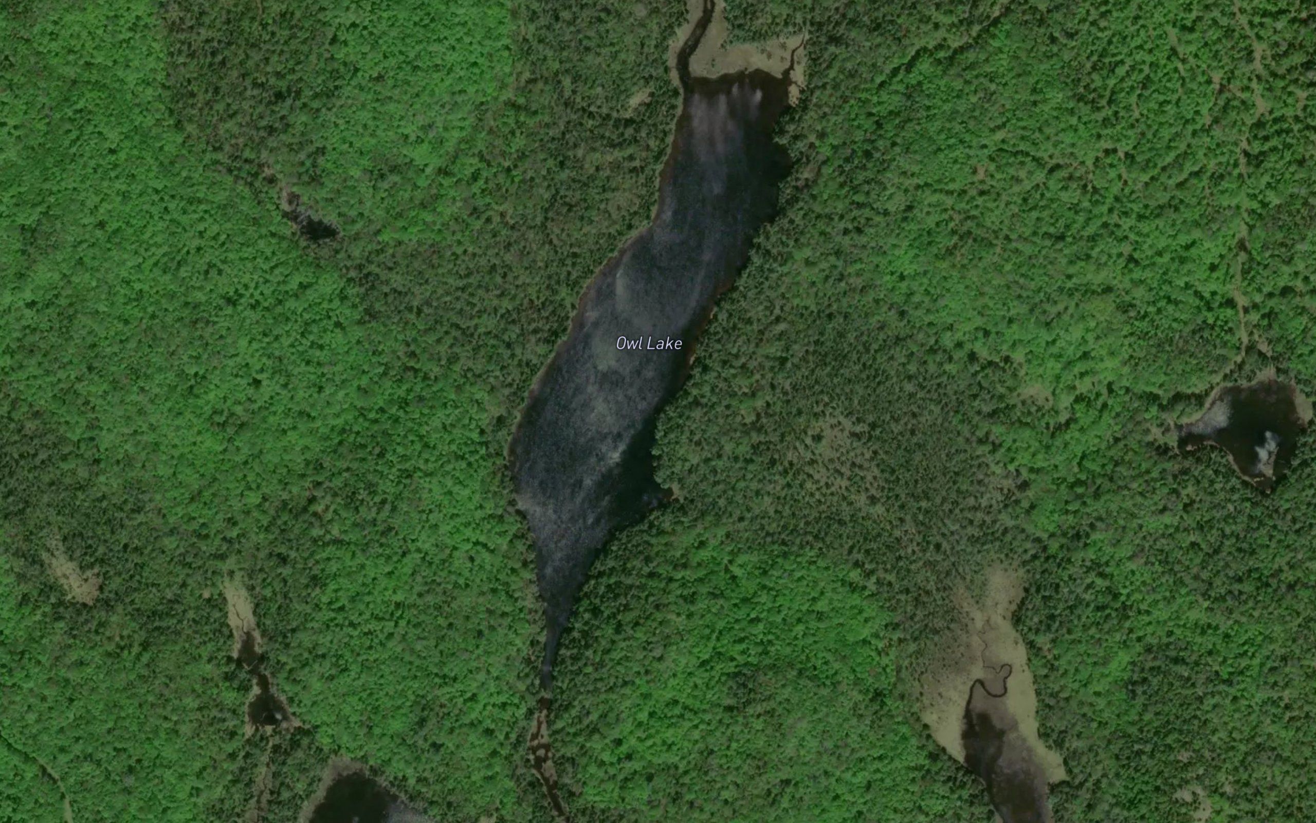 Owl Lake