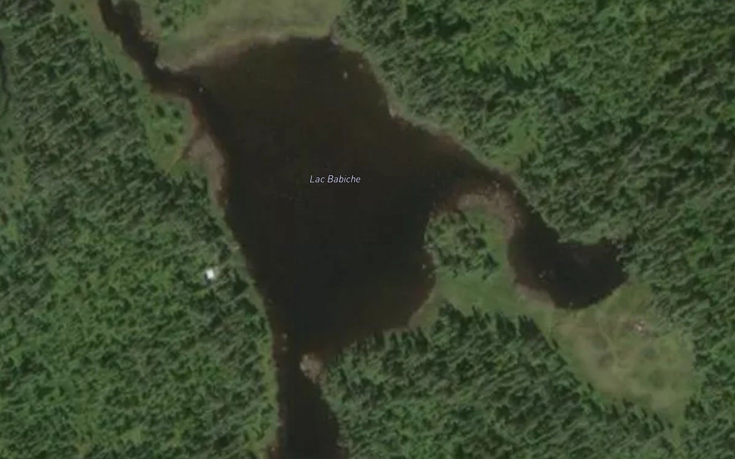 Lac Babiche