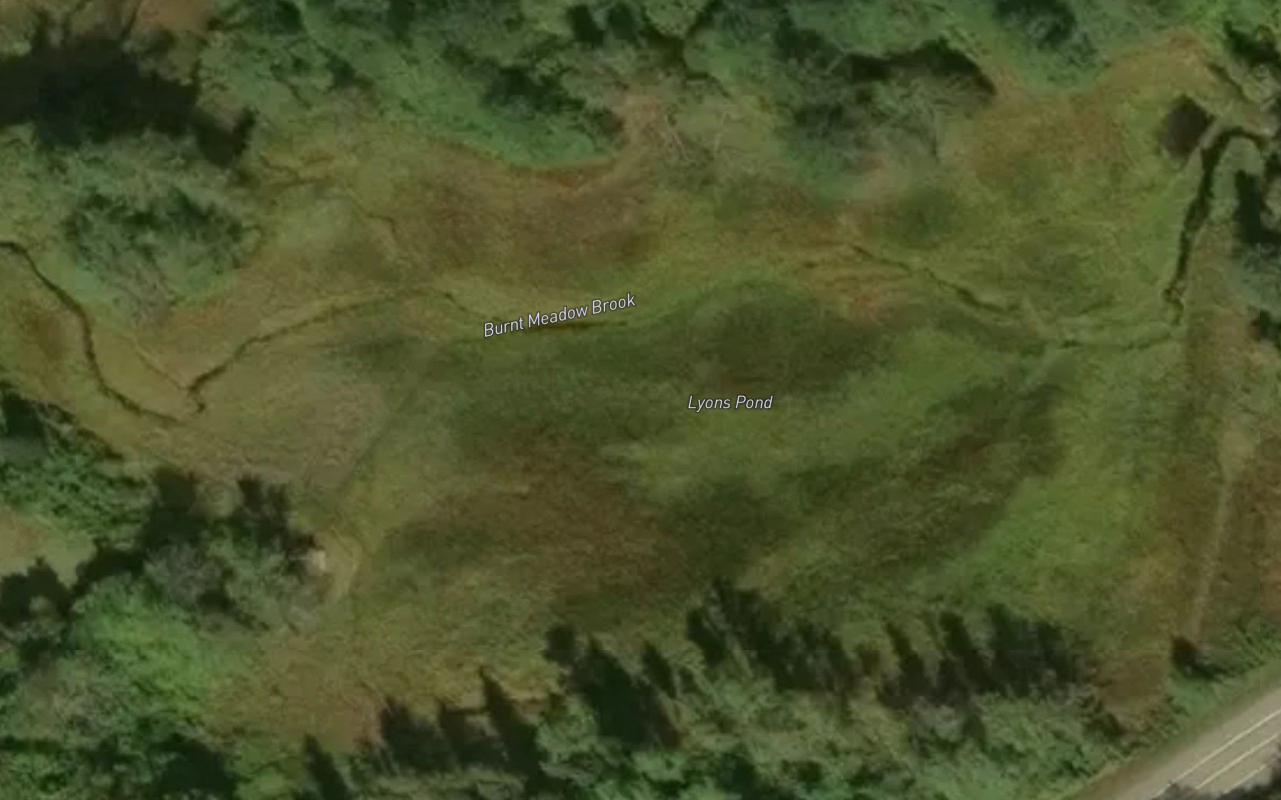 Lyons Pond