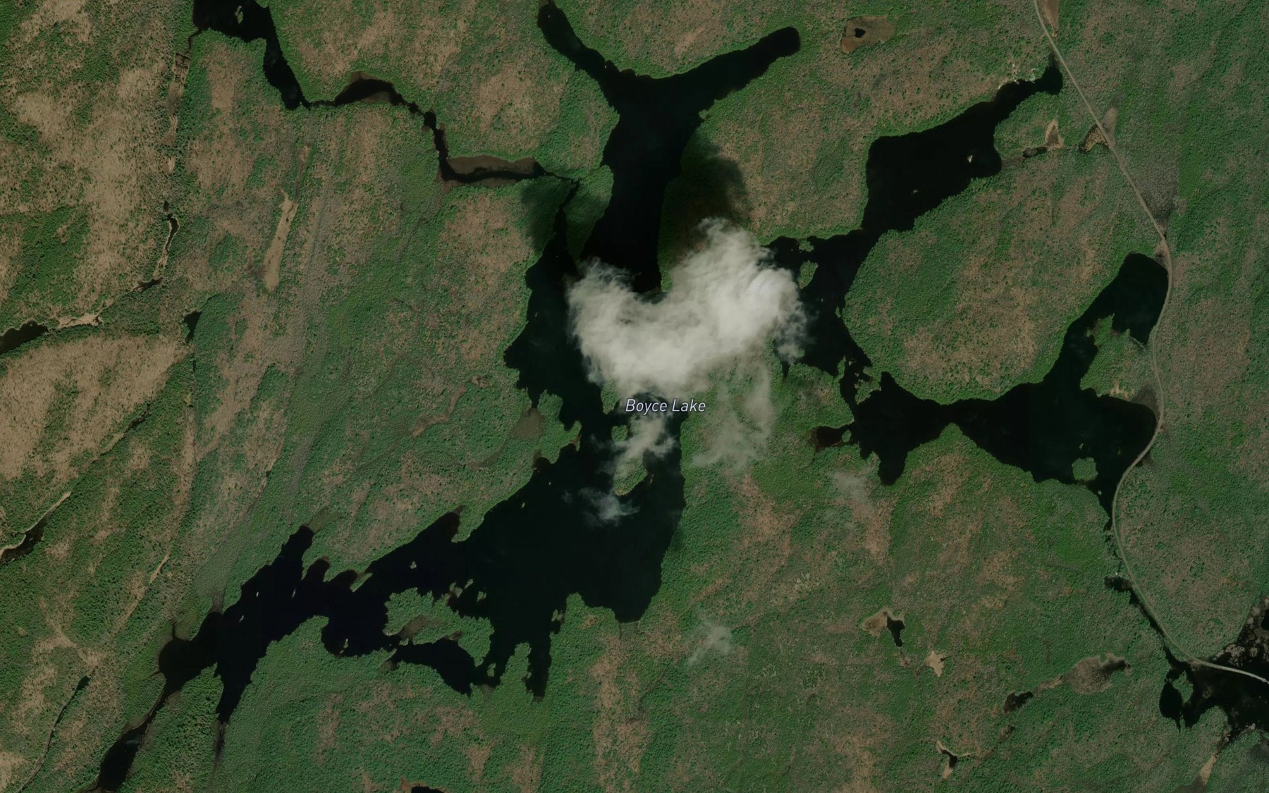 Satellite map of the Boyce Lake