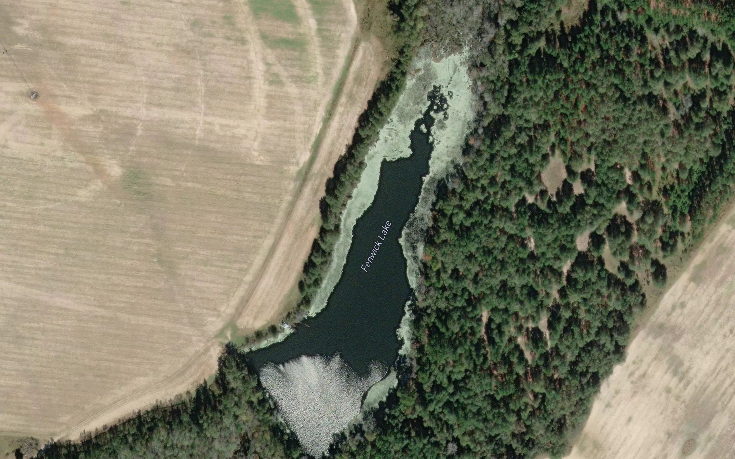 Fenwick Lake