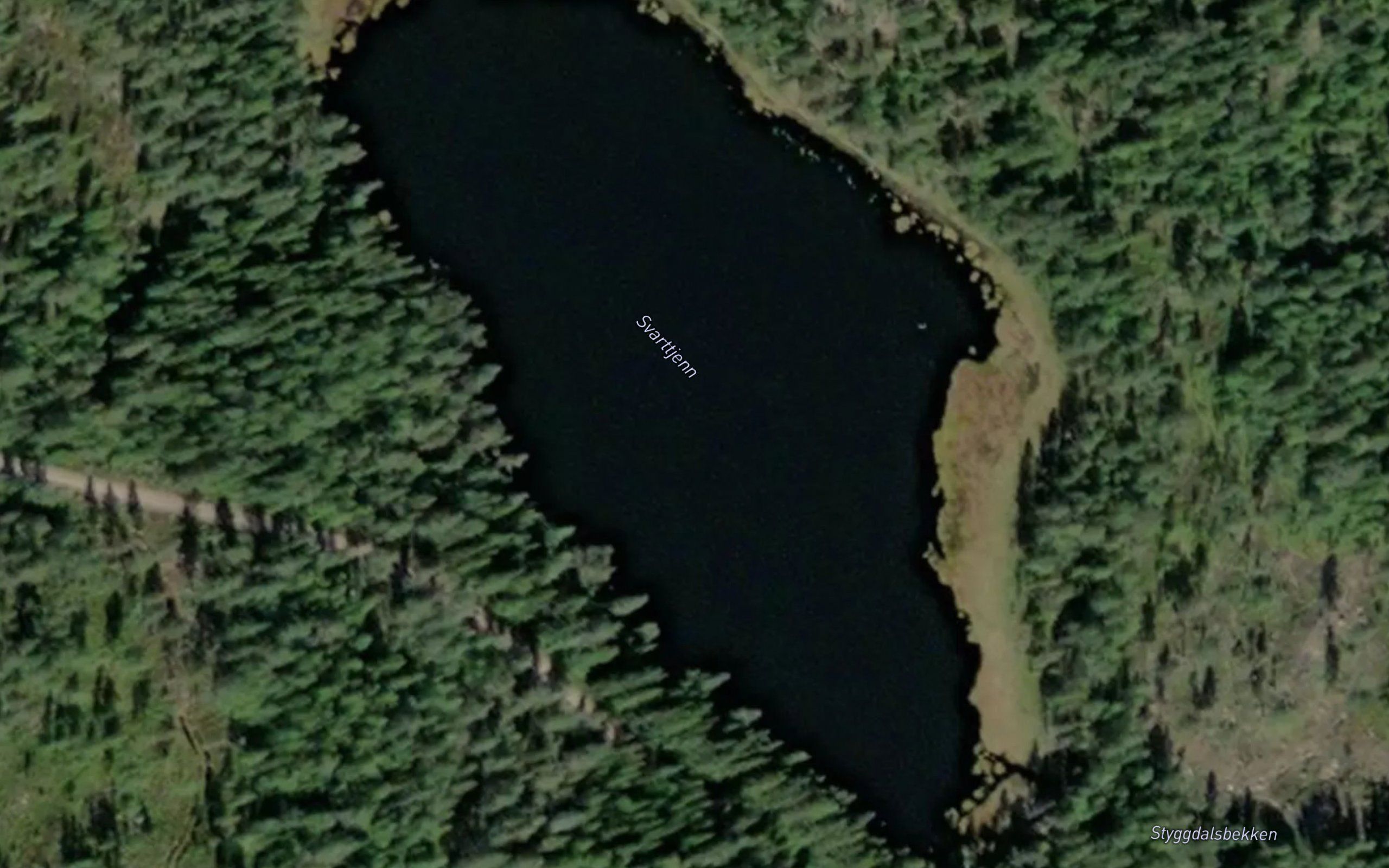 Svarttjern