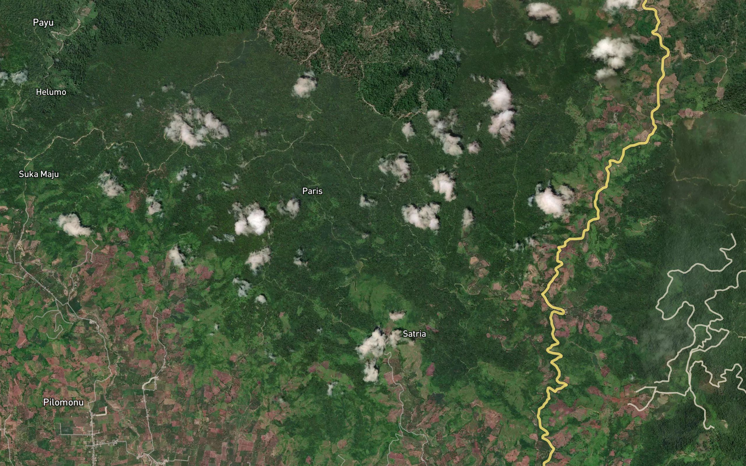 Dutula Honggalua