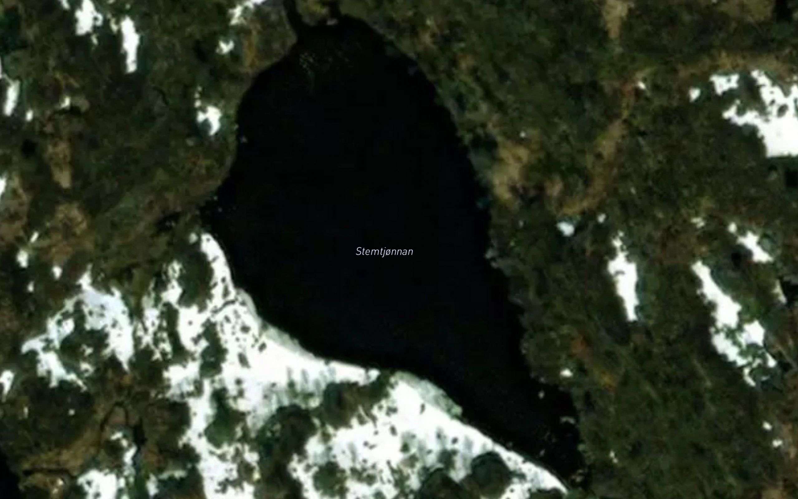 Stemtjorn