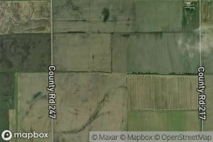 Ditch Number 295