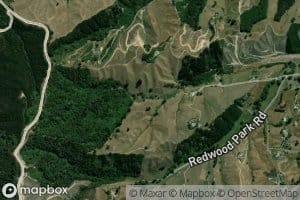 Redwood Valley Stream