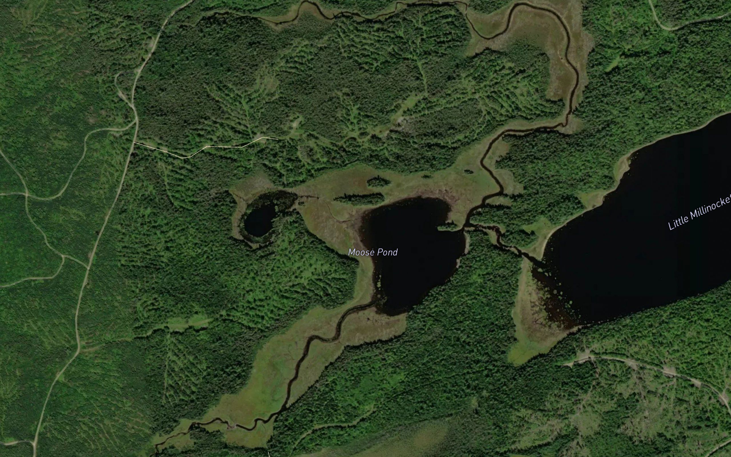 Moose Pond