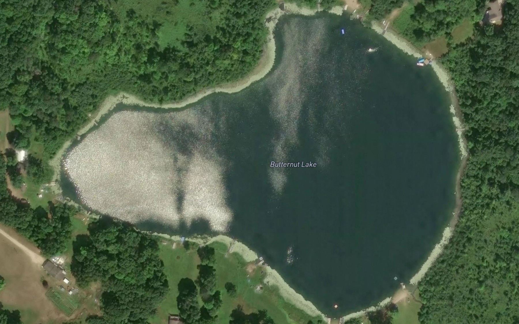 Satellite map of the Butternut Lake