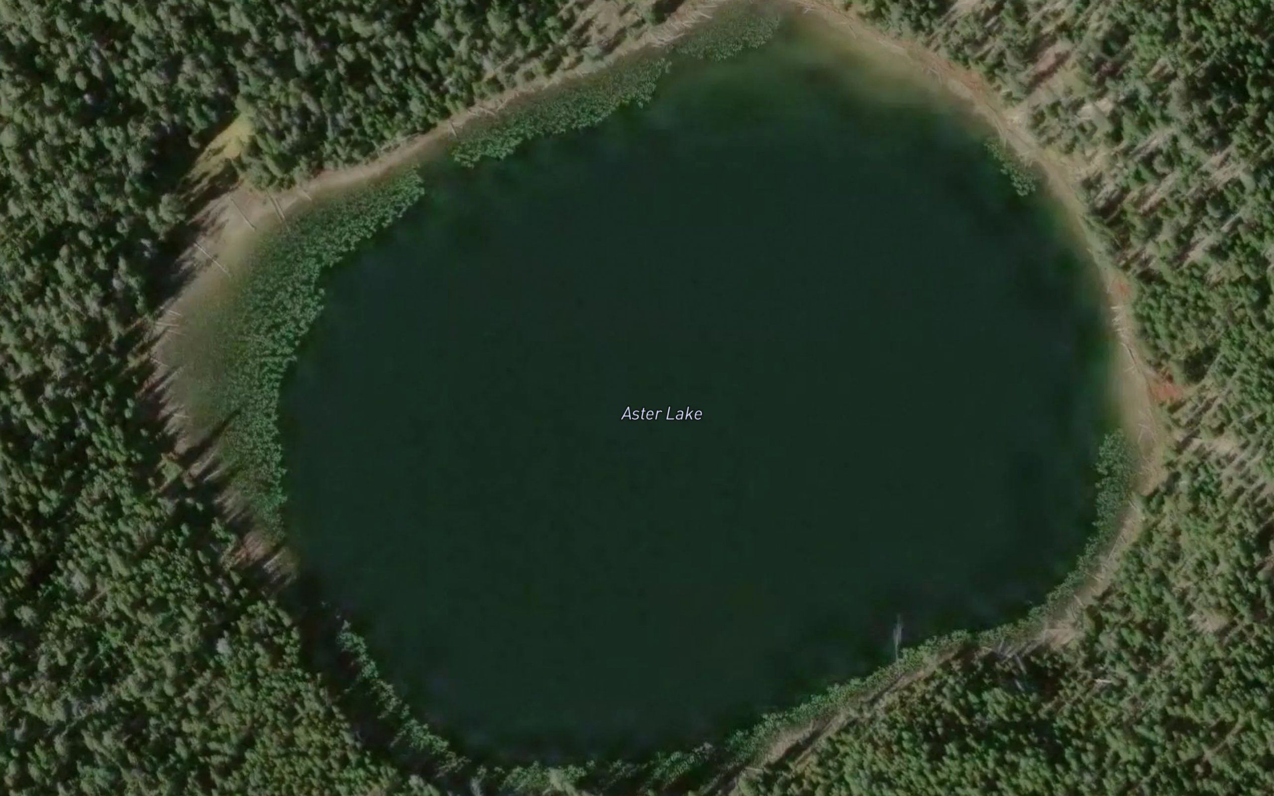Aster Lake