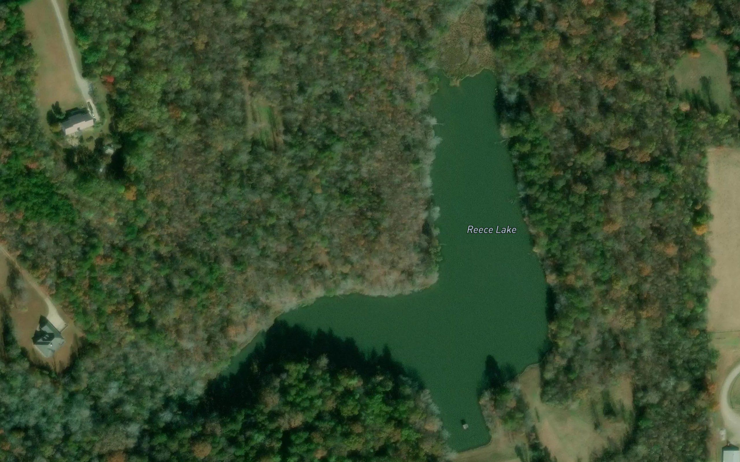 Reece Lake
