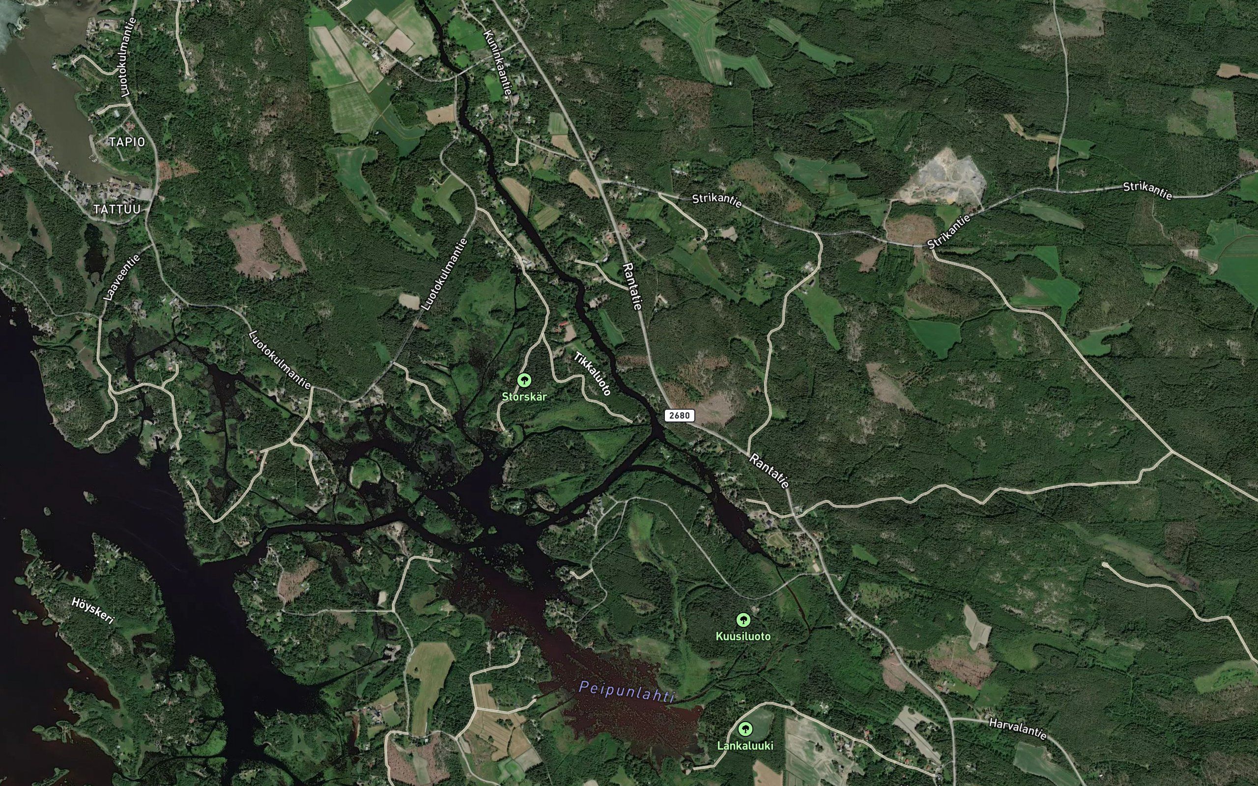 Syloestrikka