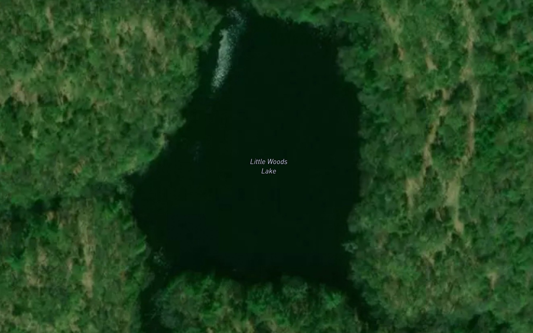 Satellite map of the Little Woods Lake