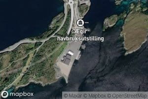 Ringbukta