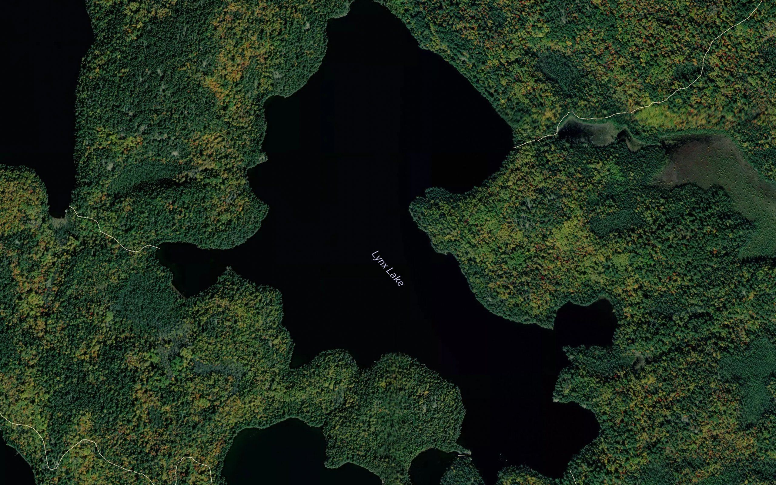 Lynx Lake