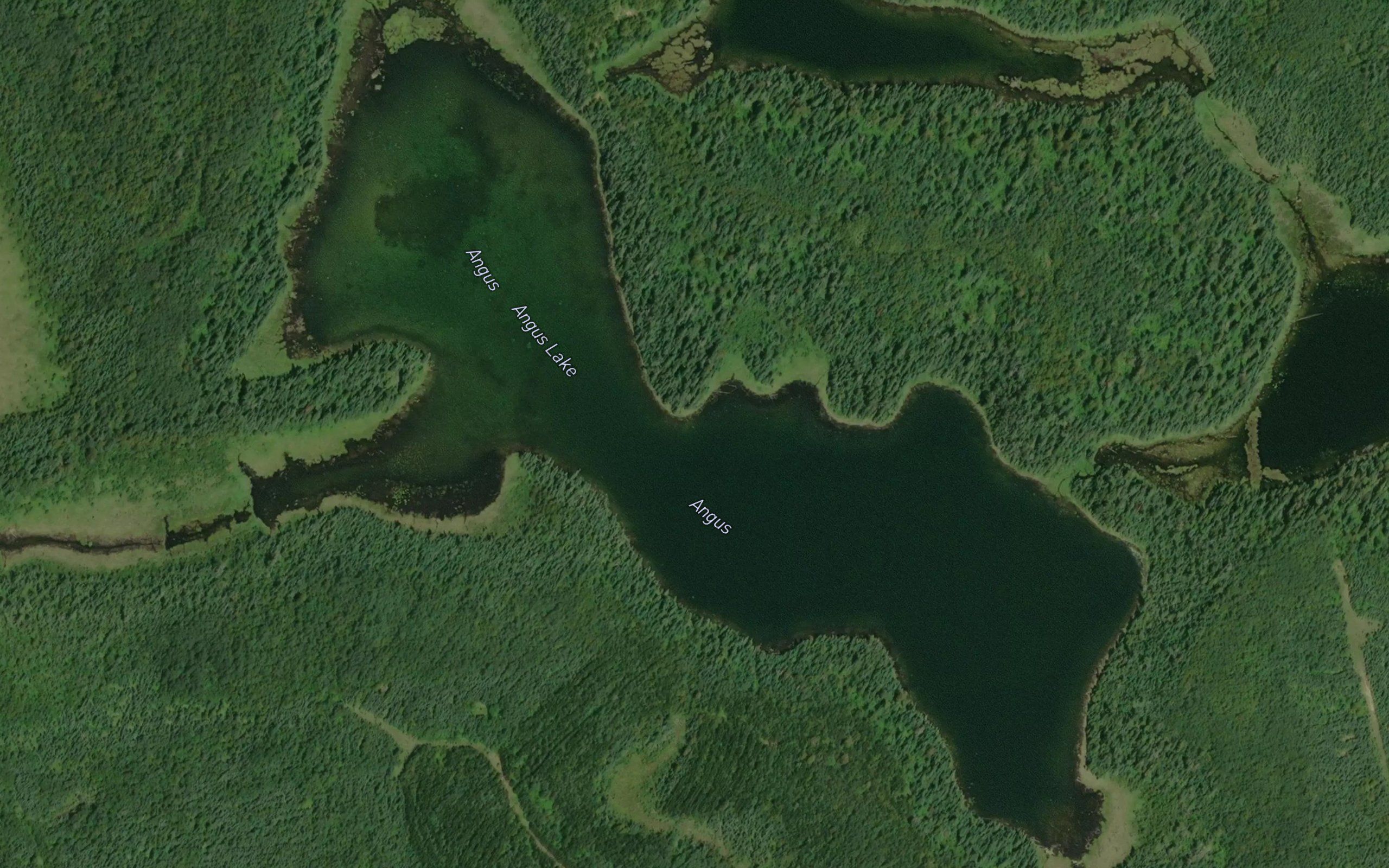 Angus Lake