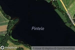 Pintele
