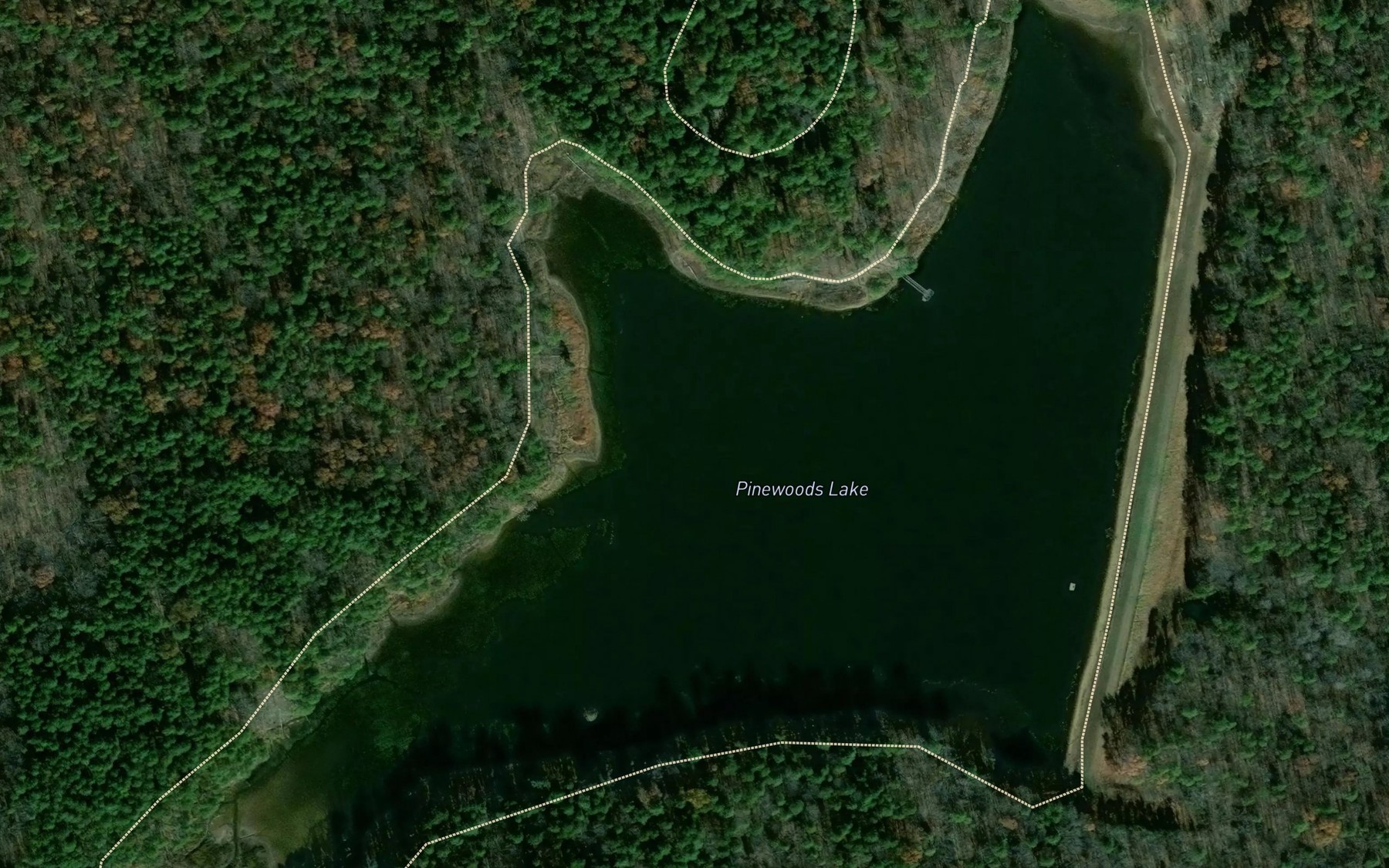 Satellite map of the Pinewoods Lake