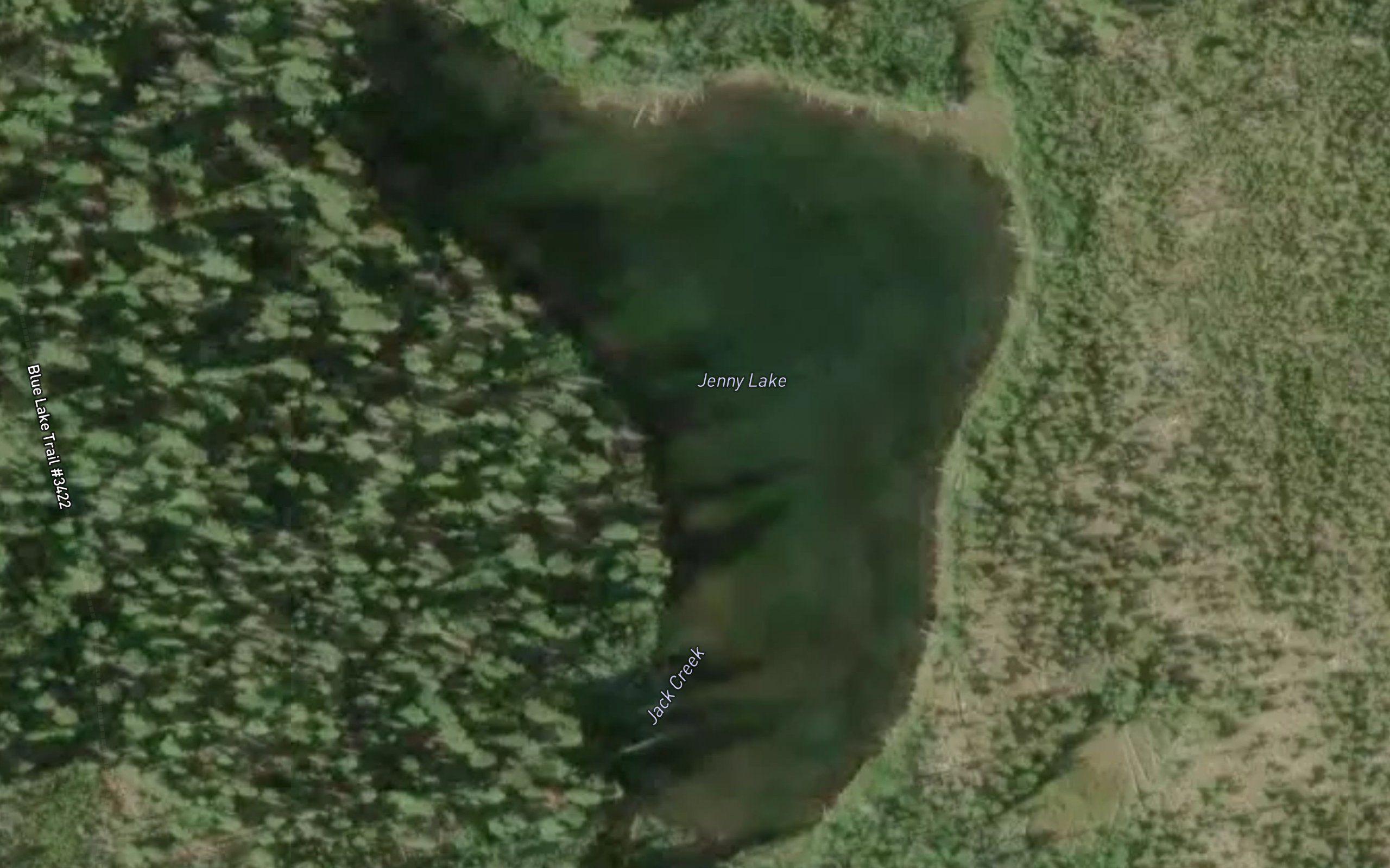 Jenny Lake