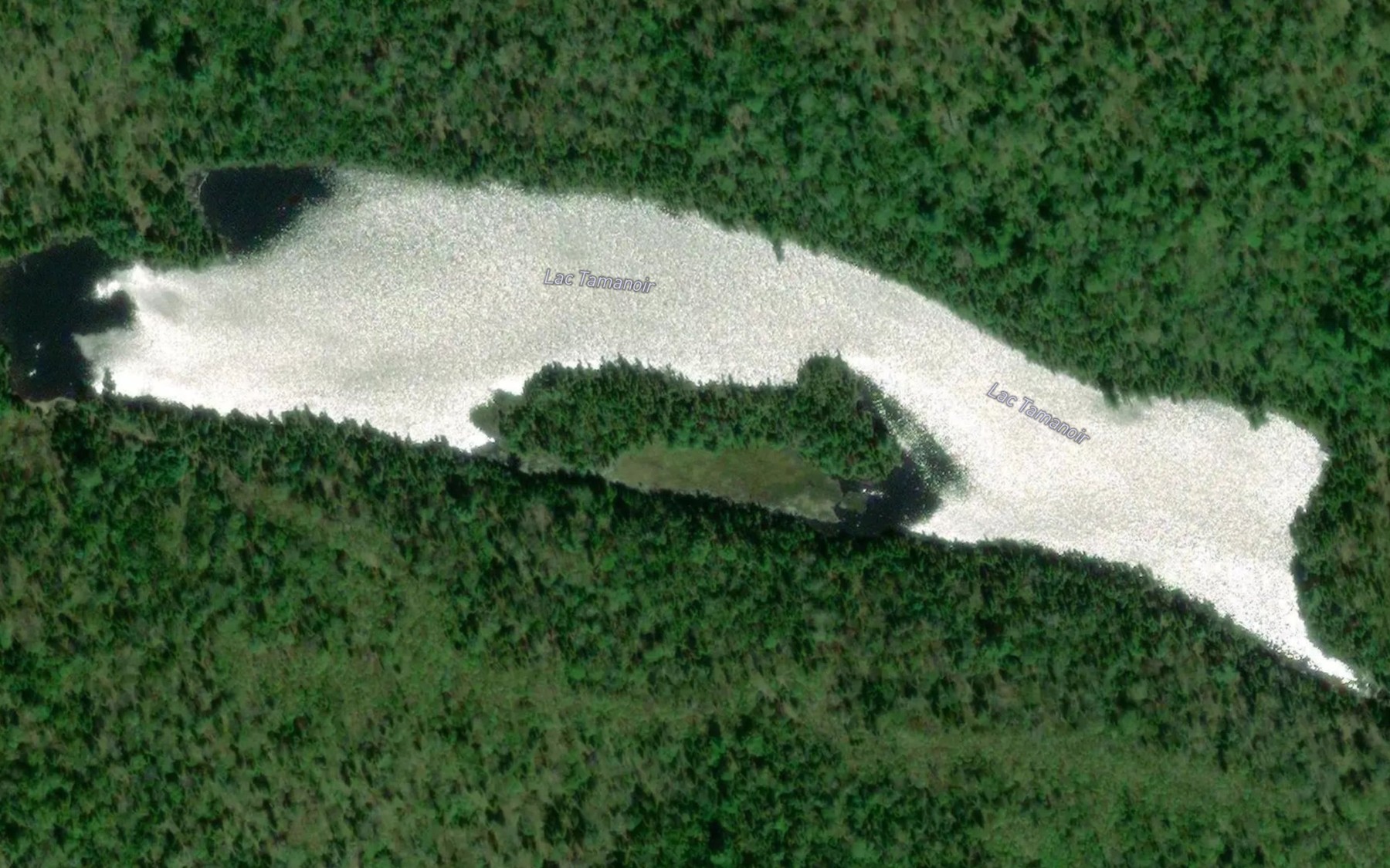 Satellite map of the Lac Tamanoir