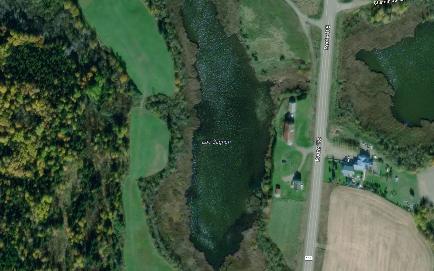 Satellite map of the Lac Gagnon