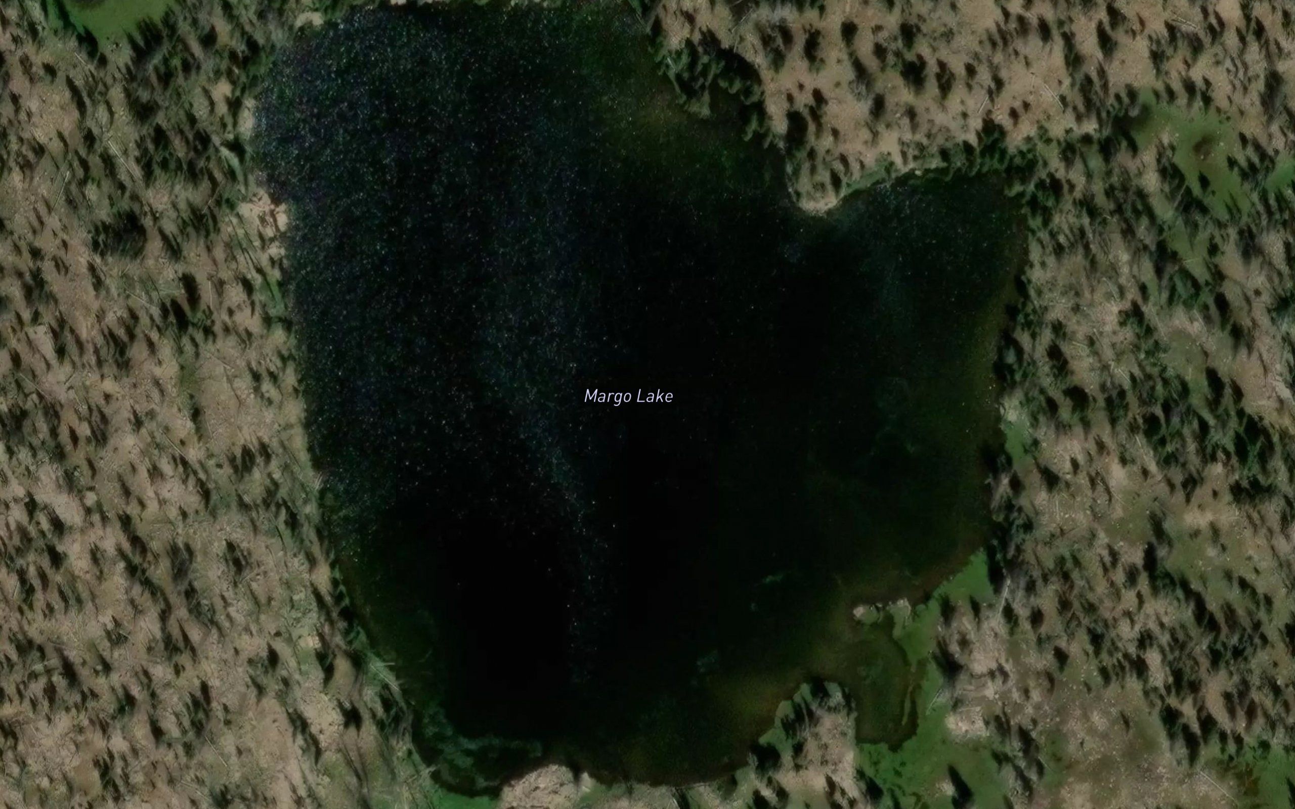 Margo Lake