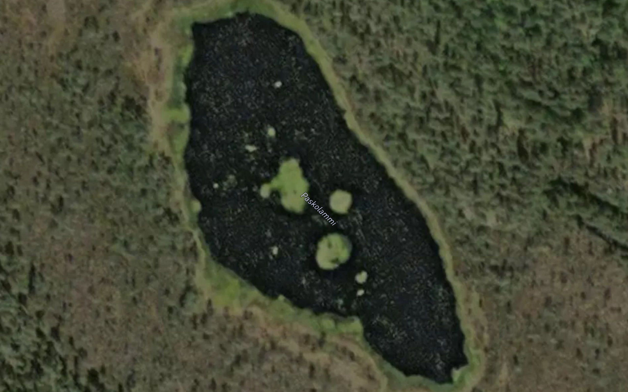 Paskolammi